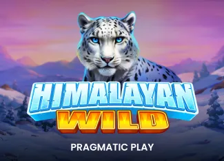 Himalayan Wild - SKYBET138