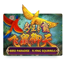 Bird Paradise - SKYBET138