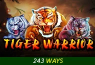 Tiger Warrior - SKYBET138