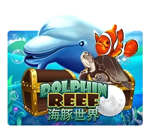 Dolphin Reef - SKYBET138